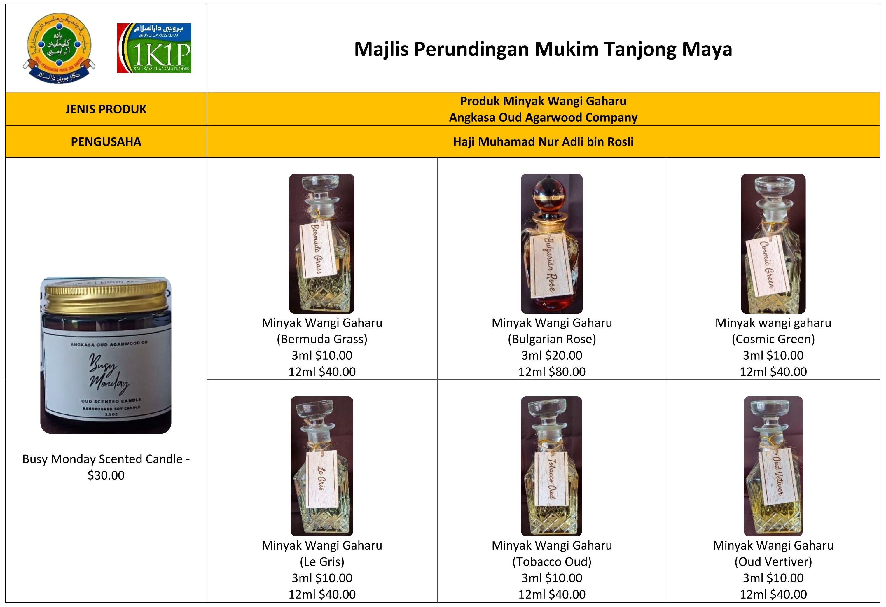 1k1p MPM Tg Maya.jpg