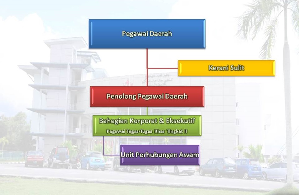 korporat11.jpg