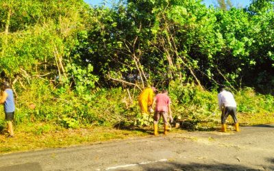 GOTONG-ROYONG MENEBANG POHON TINGKATKAN KESELAMATAN LALUAN KAMPUNG